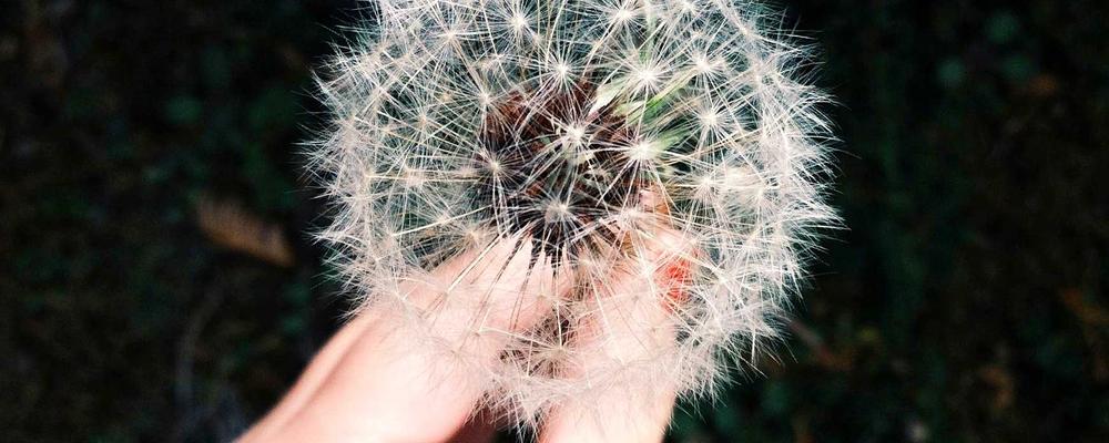 7×24小时技术支持